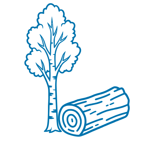 birch tree with cut log